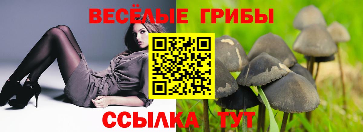 Галлюциногенные грибы GOLDEN TEACHER  Вход с VPN  хочу наркоту  Лесосибирск 